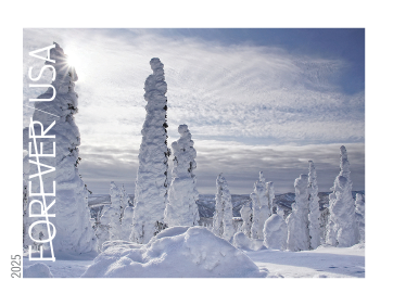 2025 Winter Landscapes Stamps - product detail view 5