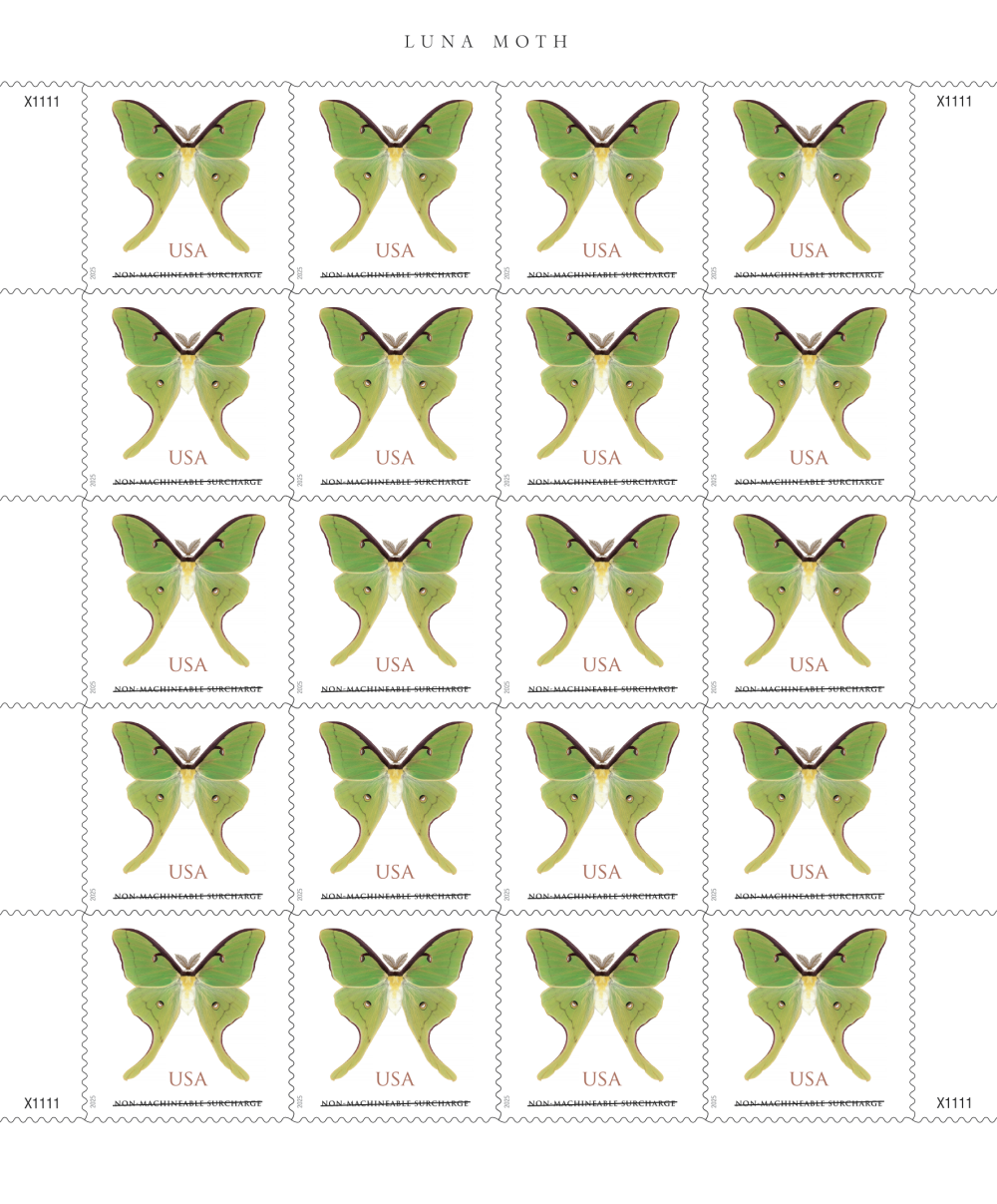 2025 Luna Moth Stamps - product detail view 2