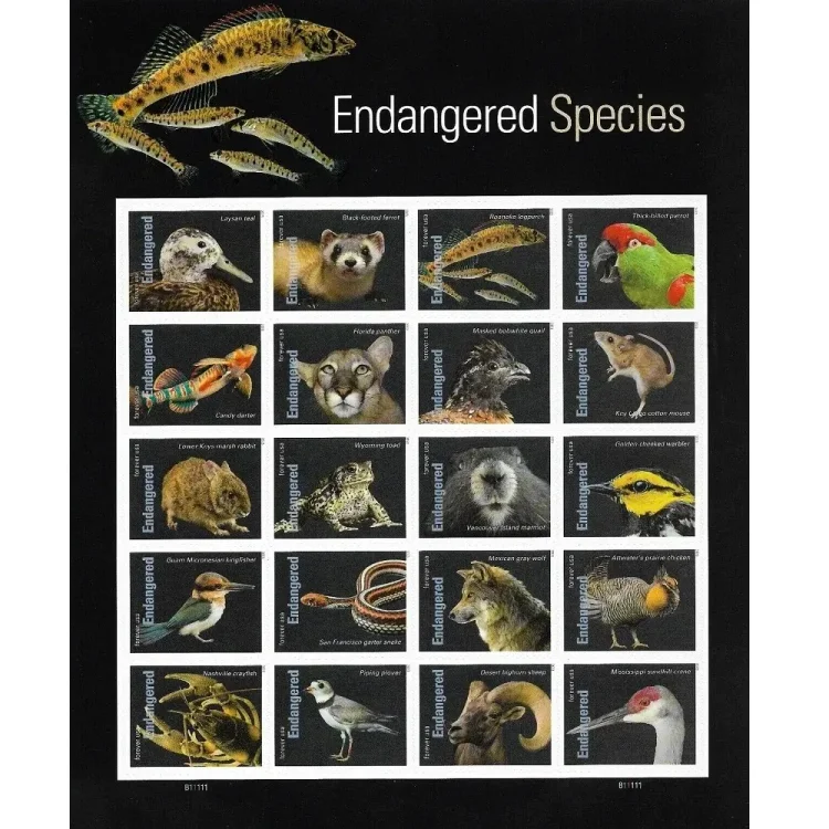 2023 Endangered Species Stamps