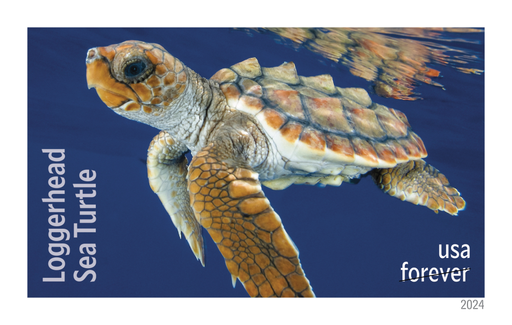 2024 Protect Sea Turtles Stamps