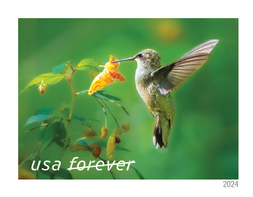 2024 Garden Delights Stamps