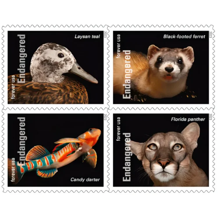2023 Endangered Species Stamps