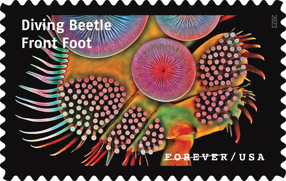 2023 Life Magnified Stamps