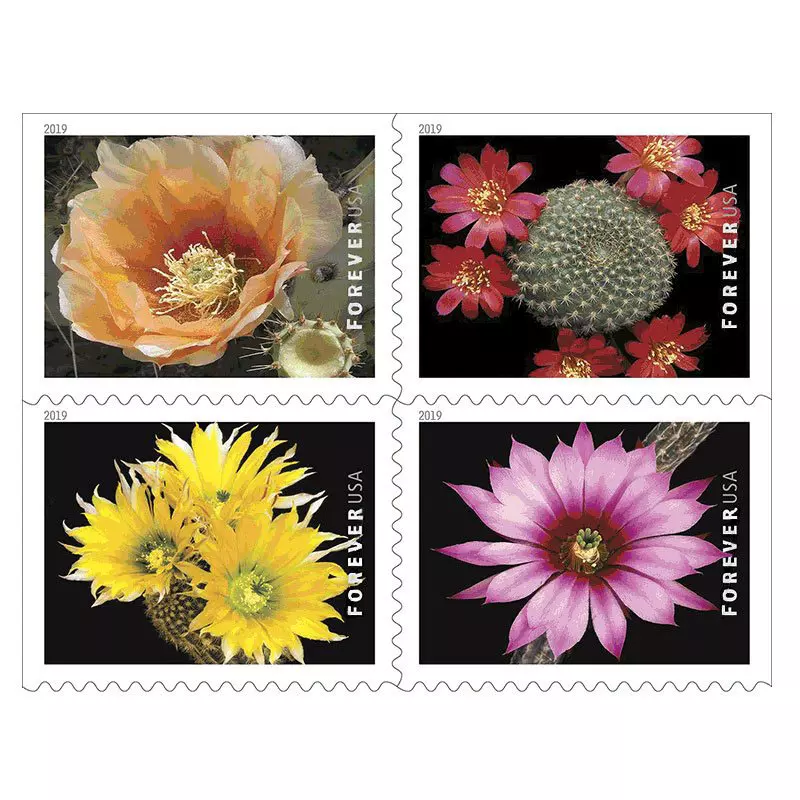 2019 Cactus Flowers Forever Stamps