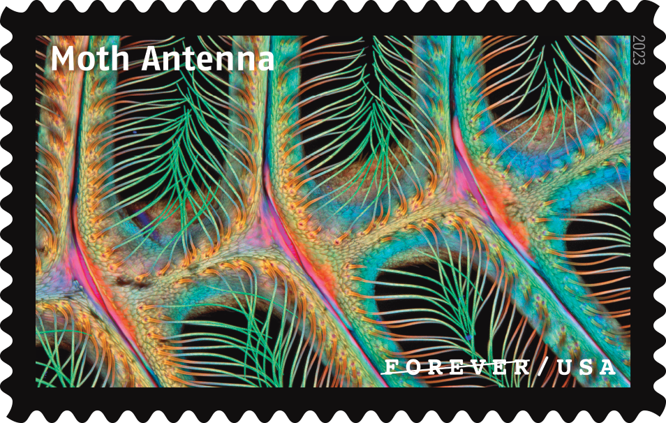 2023 Life Magnified Stamps